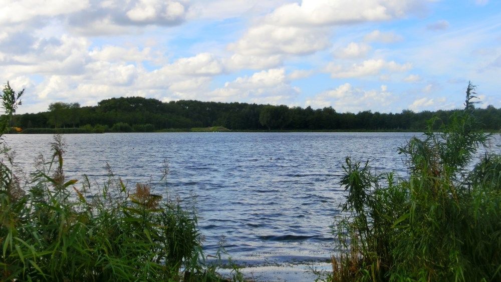 Recreatiegebied Dobbeplas op loopafstand